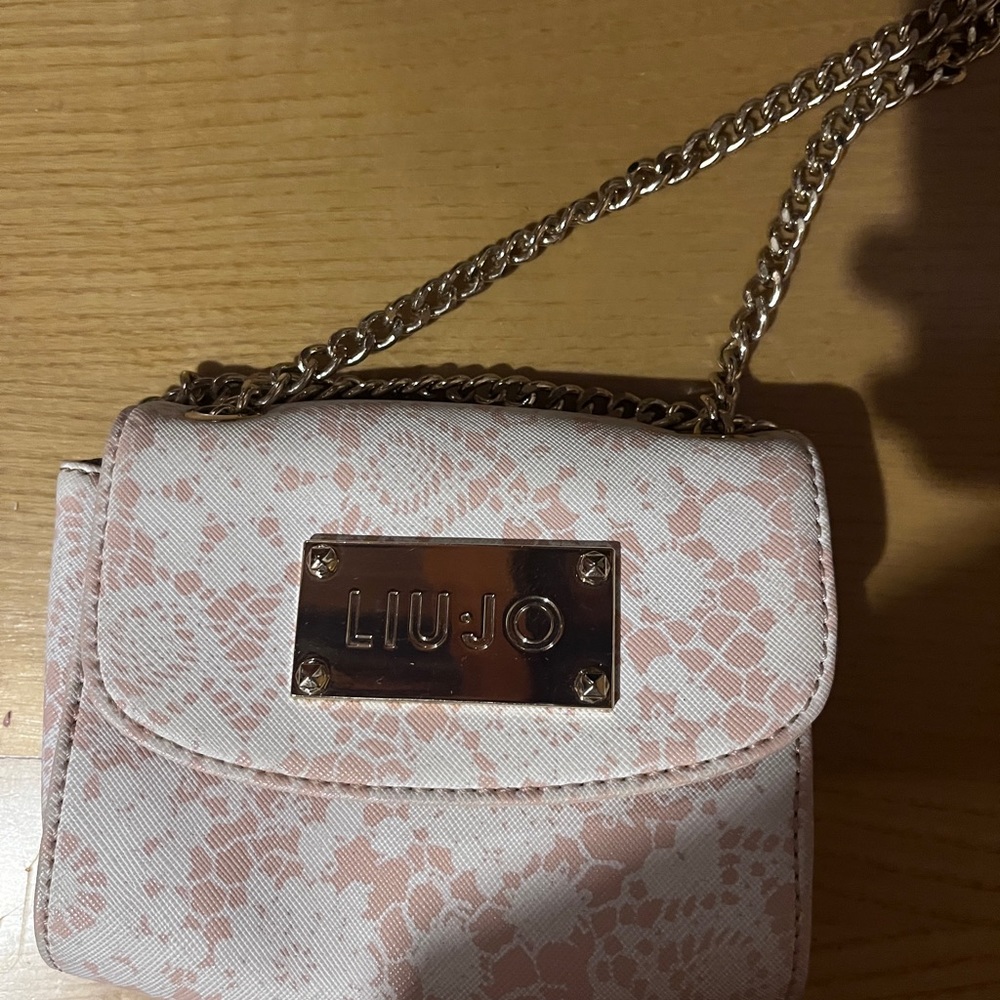 Liu Jo clutch bag (new)